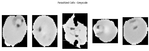 Data Collection Image